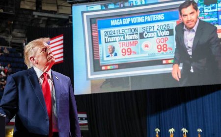 The blue wave looks real until you look a little closer