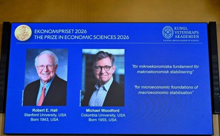 Nobel prize awarded to 2 economists for their work on how to manage shocks