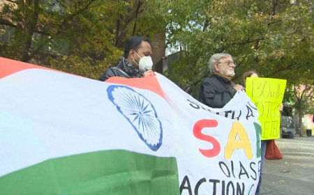 ‘A simple joke became a revolution’: Montrealers back India’s ‘Cockroach’ youth