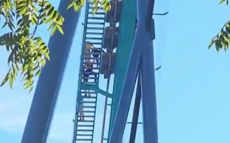 Man's fatal fall from Six Flags roller coaster sparks horrifying eyewitness accounts