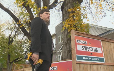 ‘New norm’: election signs missing and vandalized across Manitoba