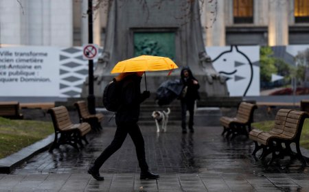 Storm to bring up to 60 millimetres of rain to parts of Ontario, Quebec