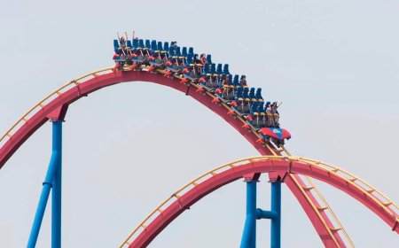 Rides closed at Canadian theme parks after deadly fall from Six Flags coaster in U.S.