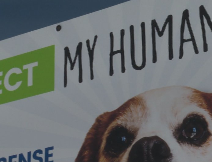 Municipal election candidates turn to humour, stunts and social media to stand out