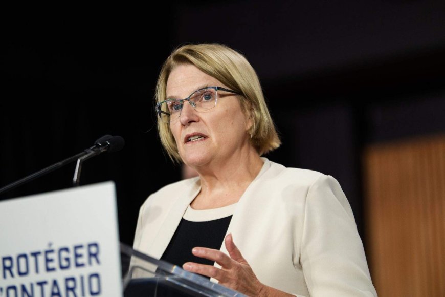 Ford government spent $2 million on McKinsey contract amid push for healthcare savings