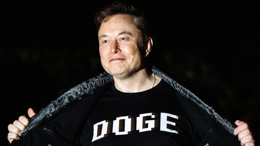I saw the real DOGE from the inside. Why the media got DOGE and Elon all wrong