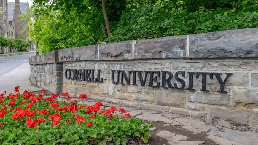 Cornell sexual assault case revives scrutiny of a little-known New York law on intoxicated victims