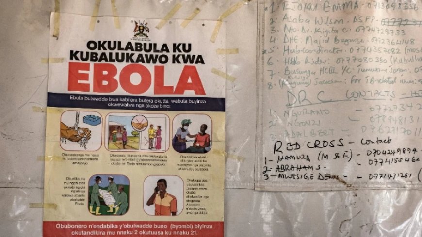 Deaths from Congo Ebola Outbreak Top 4,000