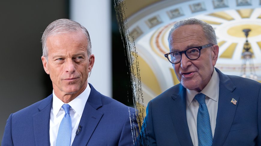 Majority Leader Thune warns Chuck Schumer 'lives in fear' of socialists taking over Democratic Party