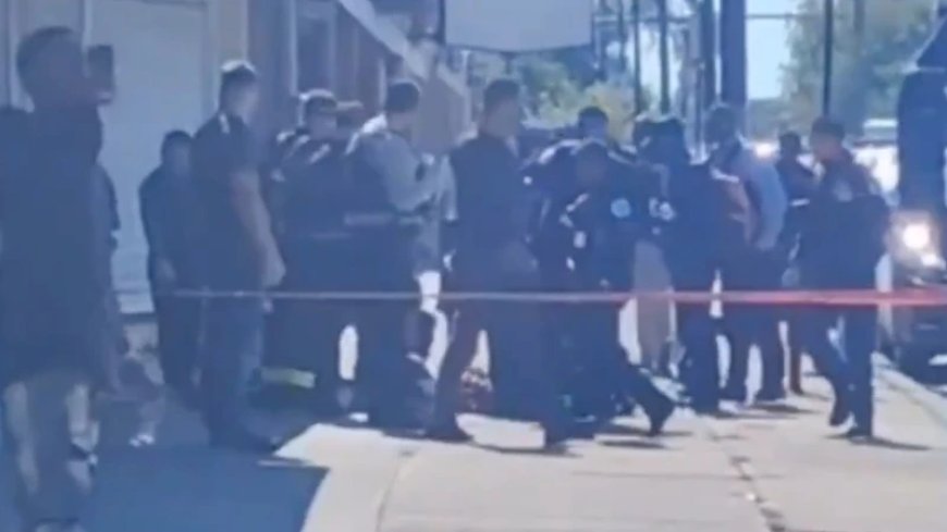 7-Year-Old Girl Stabbed to Death by Female Fugitive on Chicago Street