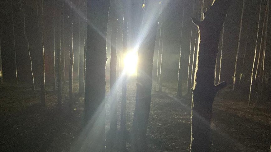 Country boys in Kentucky hear knocks in woods at night before one catches glimpse of Bigfoot with spotlight
