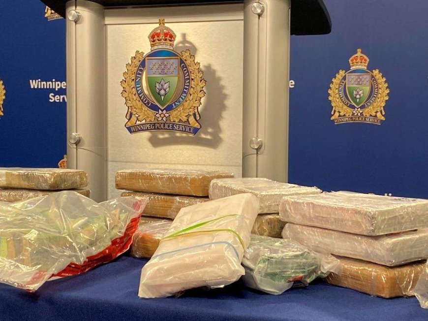 Winnipeg drug bust yields $1.5M worth of cocaine: police