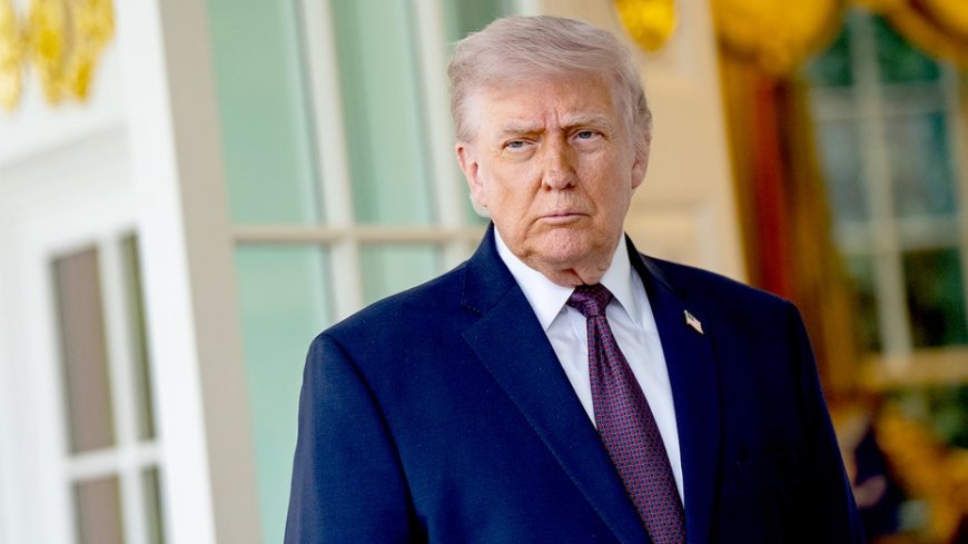 Dems’ latest Trump attack backfires as frequent critics refuse to play along