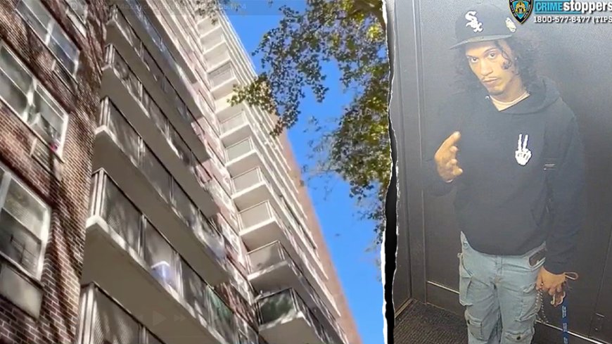Mom dies shielding baby in horrific 15-story Bronx fall as police hunt suspect: report