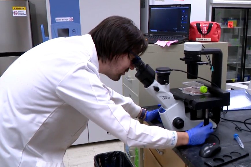 USask professor recognized for pediatric stem cell research