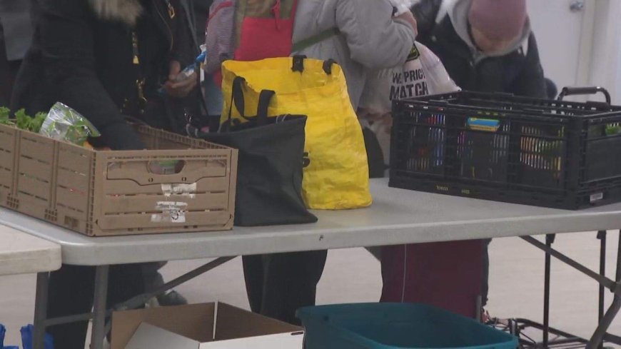 1 in 3 food banks, shelters forced to turn away people due to demand: survey