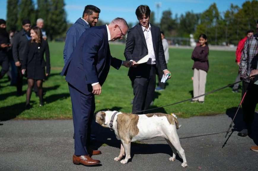 B.C. Conservatives back in battleground Surrey on election trail