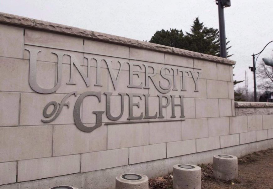 University of Guelph, police to join ‘homecoming working group’ after chaotic party