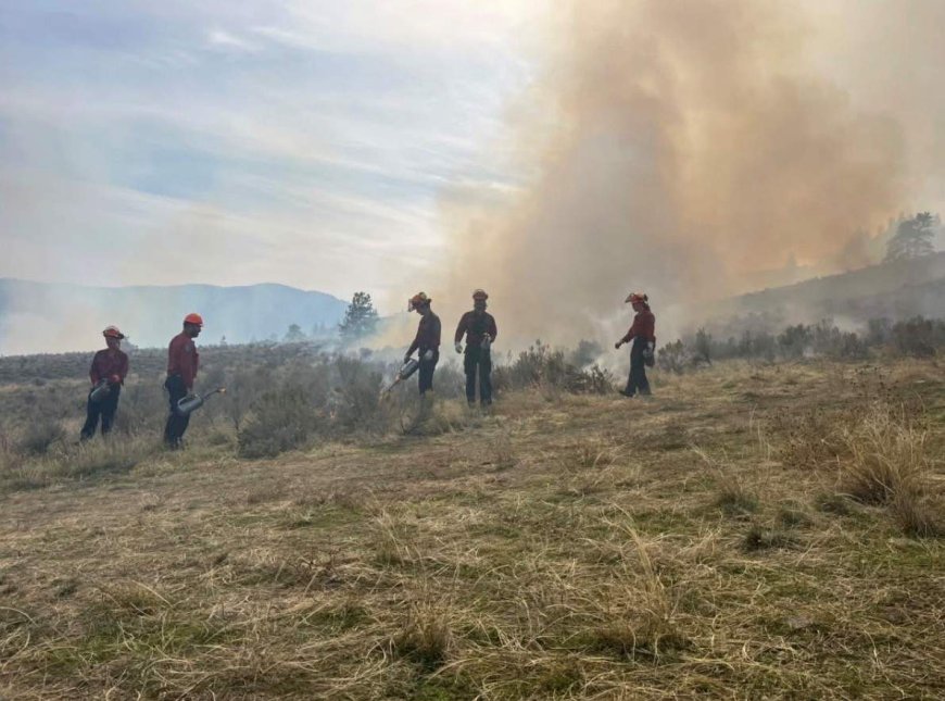 Indigenous cultural burn near Osoyoos revives traditional fire stewardship