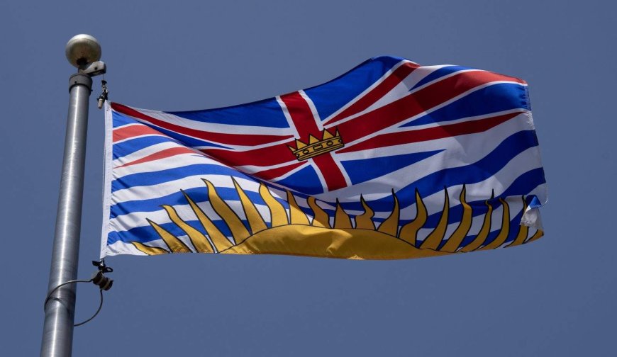 Ousted B.C. Conservative candidate Joachim Agou apologizes for posts deemed racist