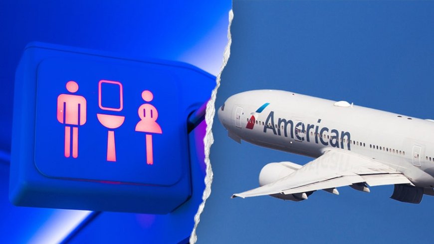 Nightmare flight forced to divert to New York after 6 restrooms fail midair
