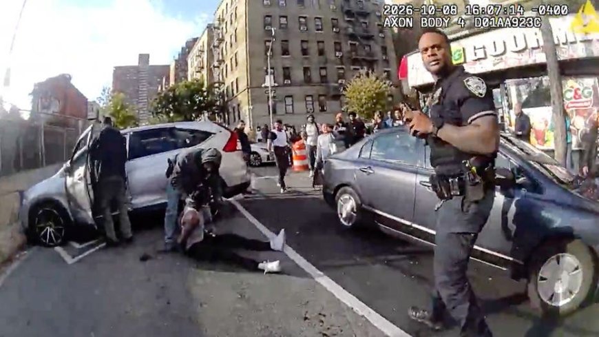 Federal judge blocks deportation of Dominican illegal immigrant shot by ICE during NYC arrest attempt