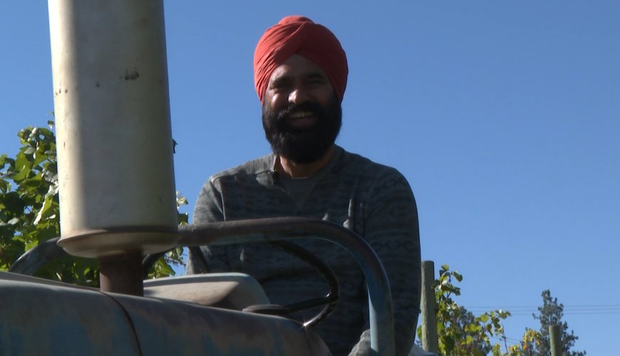 Okanagan growers say crop insurance isn’t keeping up with a changing climate