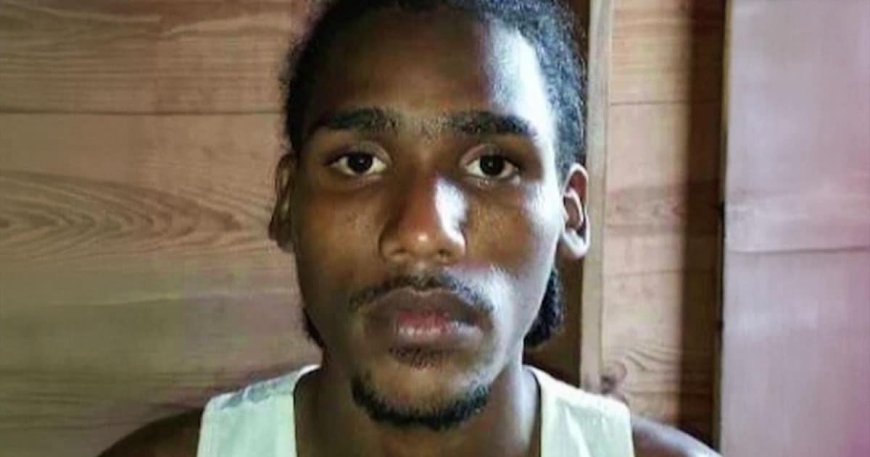 Federal Judge Blocks Deportation of Illegal Alien Who Rammed ICE Vehicles in NYC