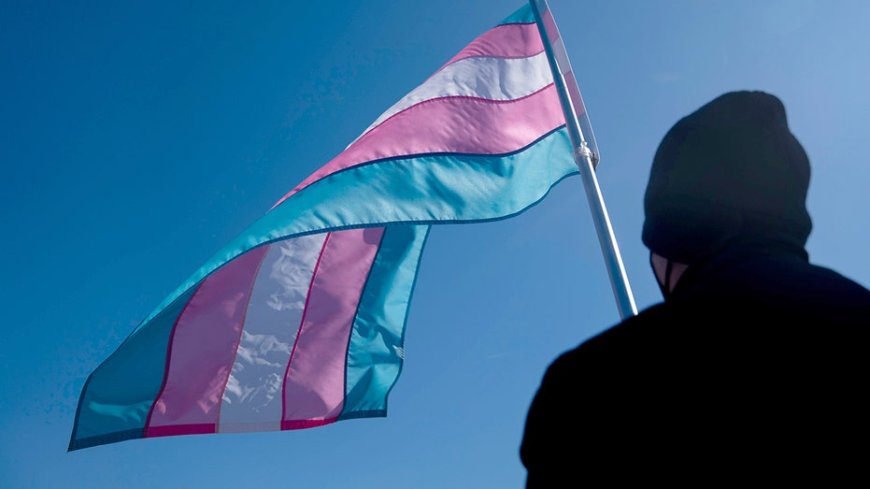 Daughters of the American Revolution axes chapter that challenged transgender membership