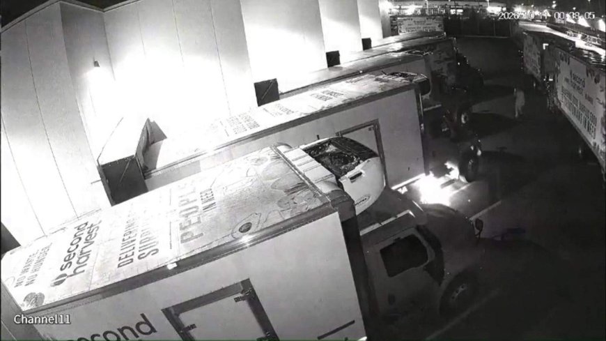 Toronto food charity says 7 trucks vandalized over Thanksgiving weekend