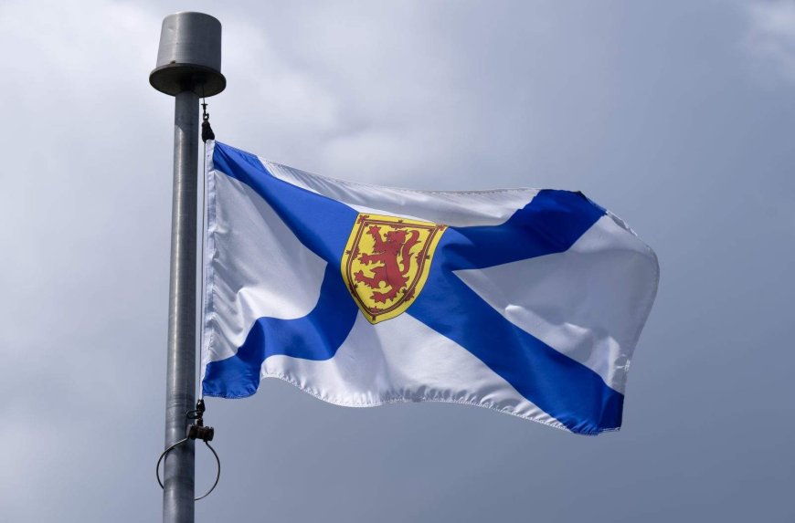 Police watchdog to investigate after alleged hit and run in Halifax