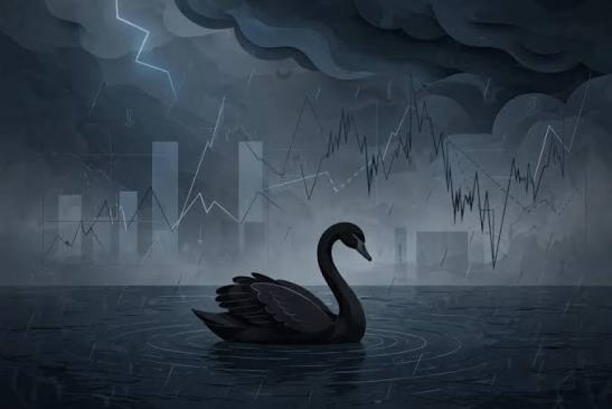 Numerous Black Swans and the Minsky Moment