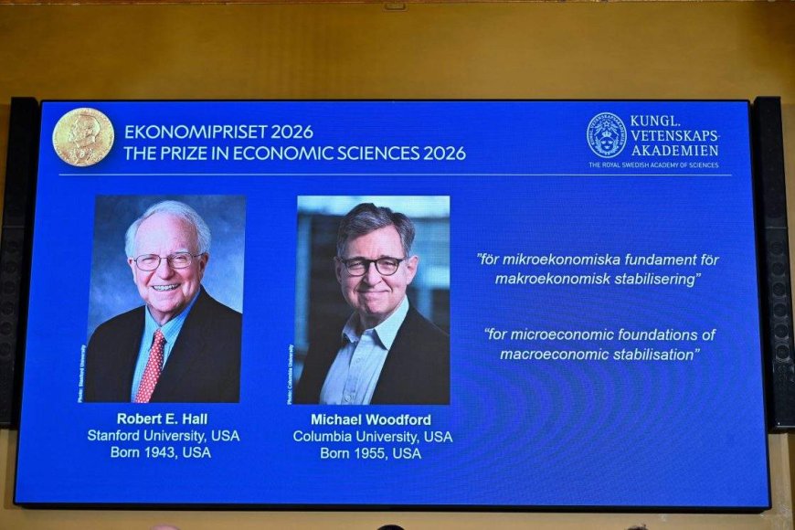 Nobel prize awarded to 2 economists for their work on how to manage shocks