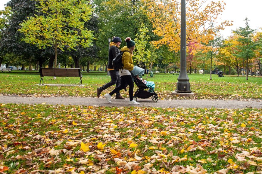 Canadians with children more likely to rely on charities, non-profits: survey